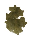 Murano Art Glass and Brass Green Color Wall Light and Sconces, 2000 Murano Art Glass and Brass Green Color Wall Light and Sconces, 2000