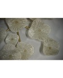 Murano Art Glass and Brass Midcentury Chandelier / Wall Light, 2000 Murano Art Glass and Brass Midcentury Chandelier / Wall Light, 2000