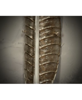 Murano Art Glass Silver and White Wall Light, 1970.