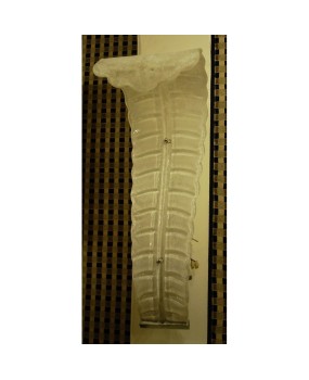 AP 56 Coppia di appliques a foglia