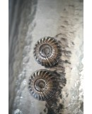 Murano Silver Art Glass Mid-Century Wall Light and Sconces Murano Silver Art Glass Mid-Century Wall Light and Sconces