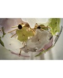 Murano Sputnik Green Pink and White Color Art Glass Chandelier and Pen