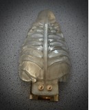 Murano Art Glass Gold and Brass Wall Light and Sconces