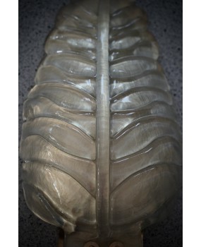 Murano Art Glass Gold and Brass Wall Light and Sconces