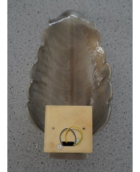 Murano Art Glass Gold and Brass Wall Light and Sconces