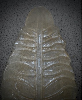 Murano Art Glass Gold "Graniglia" and Brass Wall Light and Sconces