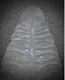 Murano Art Glass Sandblasted Light White and Brass Wall Light and Scon