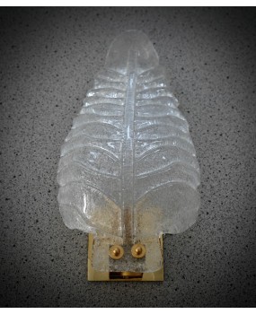 Applique in Vetro Artistico di Murano "Graniglia" Trasparente e Ottone