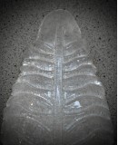 Applique in Vetro Artistico di Murano "Graniglia" Trasparente e Ottone