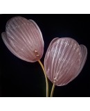 Murano Art Glass and Brass Pink Color Wall Light and Sconces