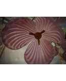 Murano Art Glass and Brass Pink Color Mid-Century Chandelier and Penda