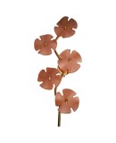 Murano Art Glass and Brass Pink Color Wall Light and Sconces